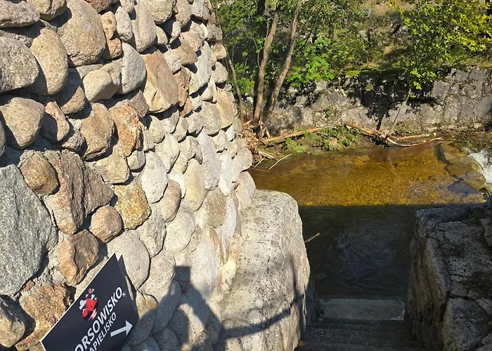 Zielona Choice Przesieka